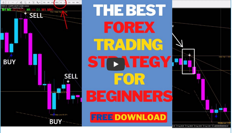 The Best Forex Trading Strategies for Novices: FOREX INDICATOR MT4